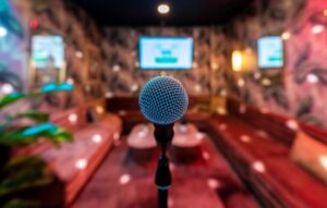 Sing Your Heart Out with Karaoke App