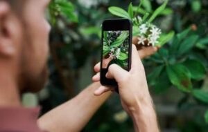 Plant Care App: Identify and Nurture Your Greenery